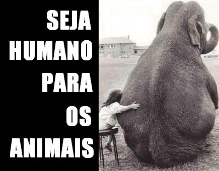 Seja humano para os animais