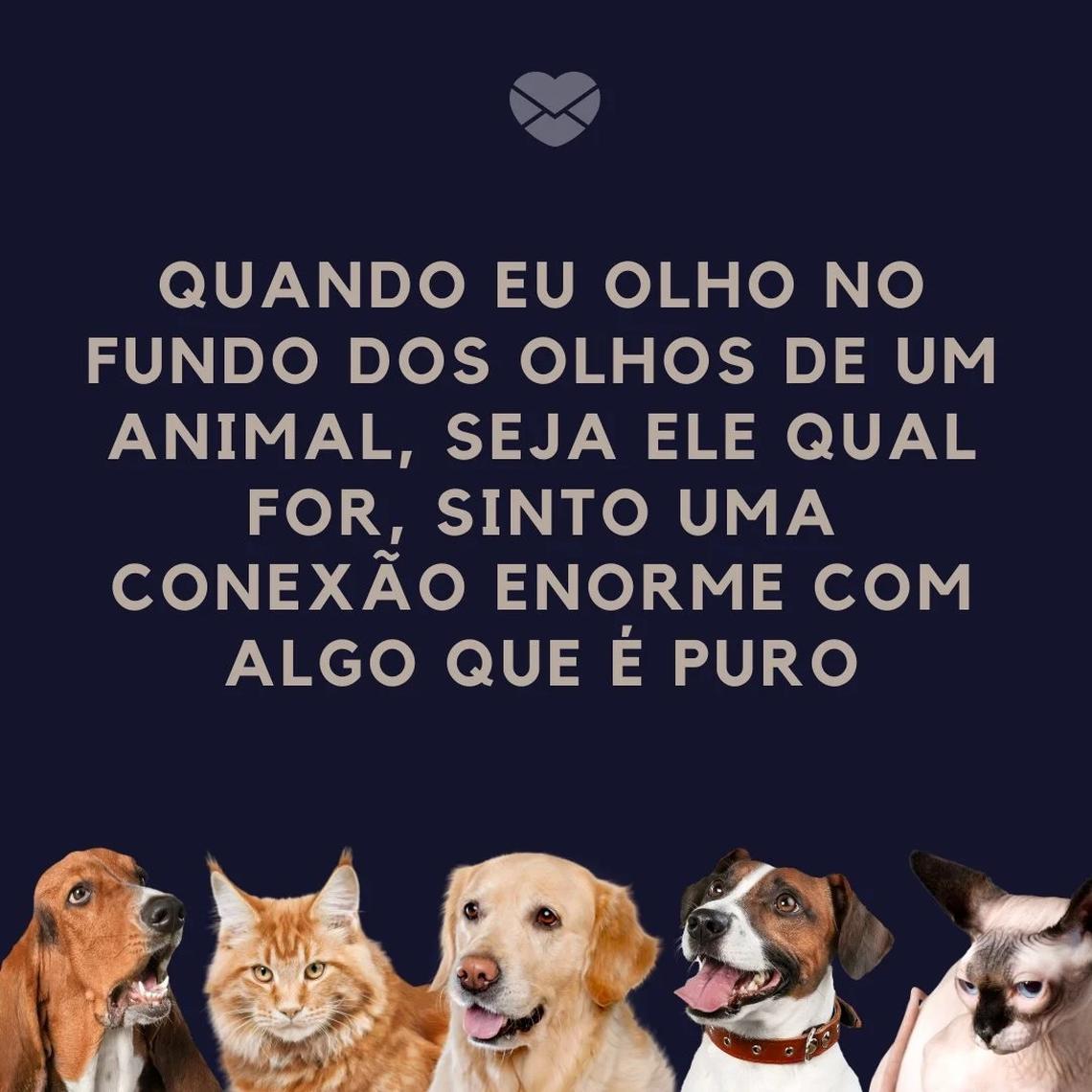 conexão com algo que é puro